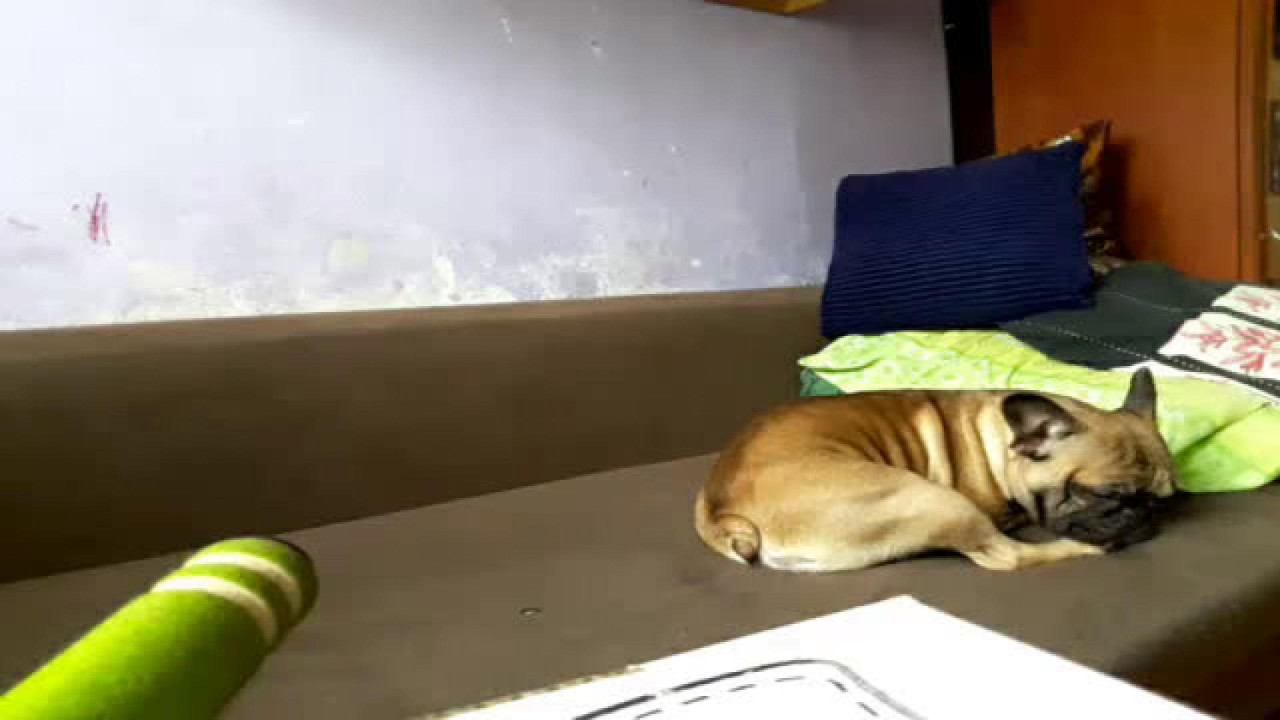 cipeczka995 [2017/11/15 11:06:13]