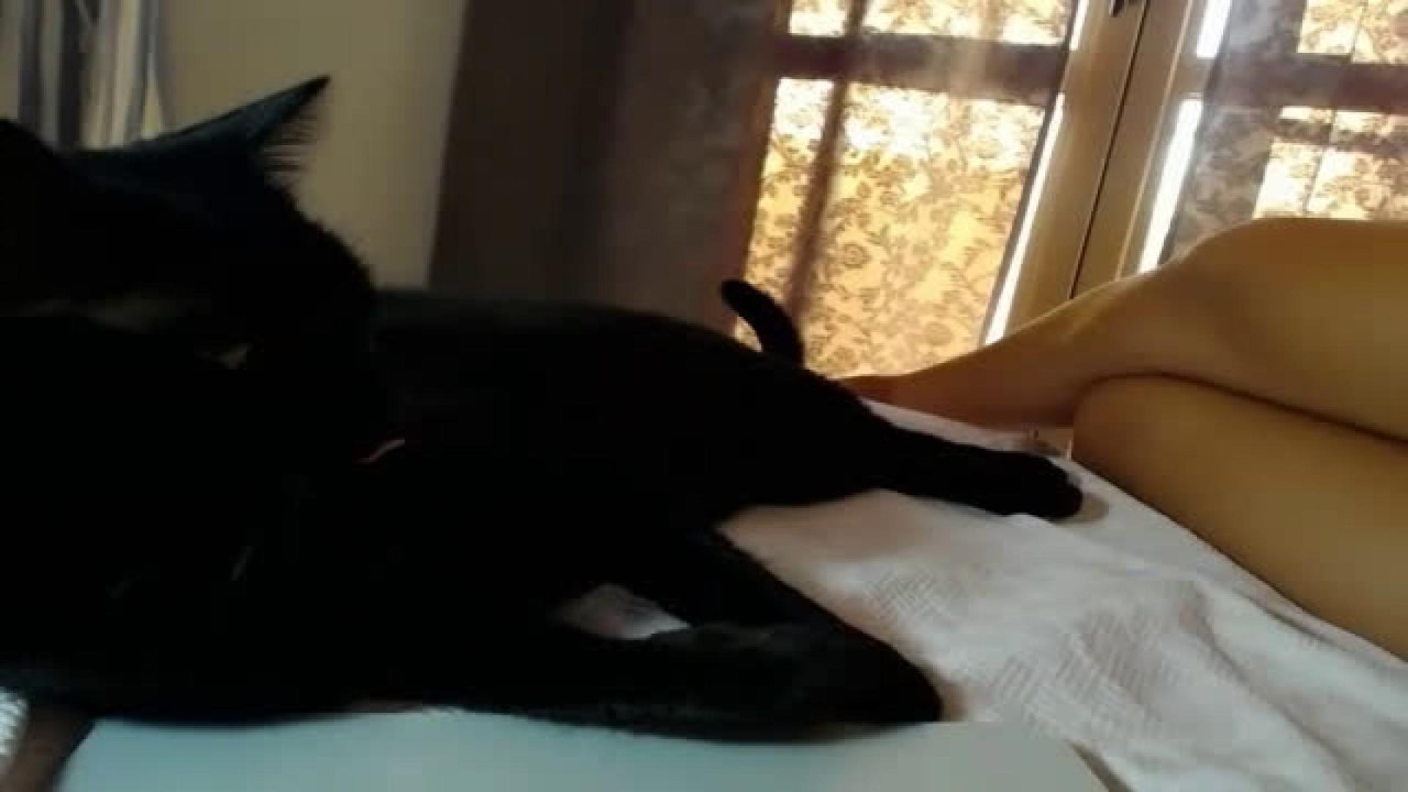 serena_dreams Premium [2017/09/12 15:46:03]