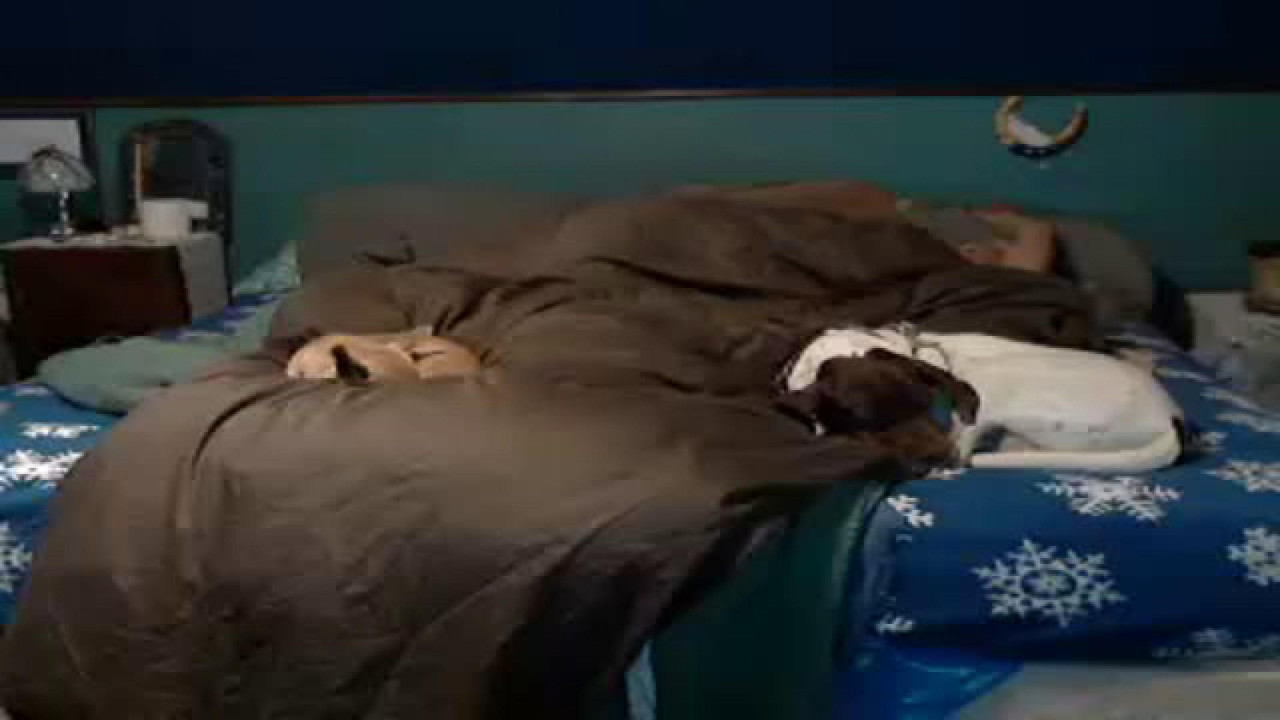 trulywantedman Cunt Video [2017/11/10 14:40:16]