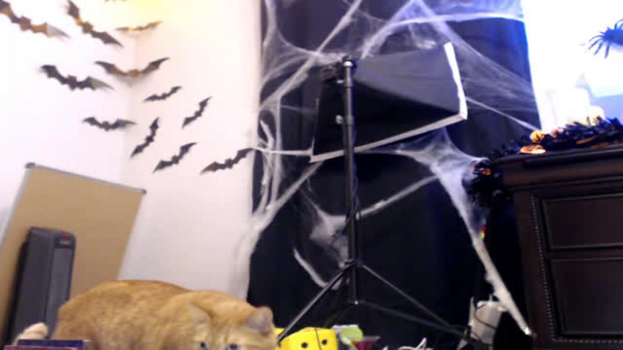 pemmywise Boy Webcam [2017/10/30 04:10:24]