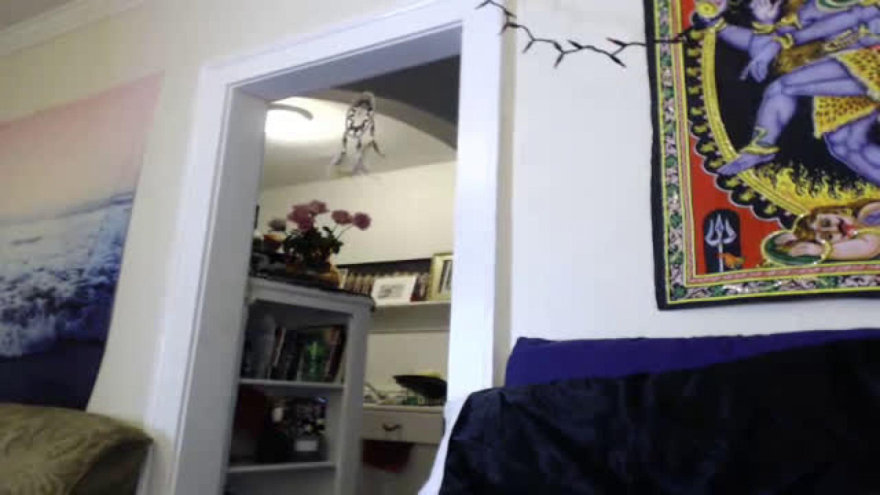 hellcatnat Panty Video [2017/09/27 23:46:28]