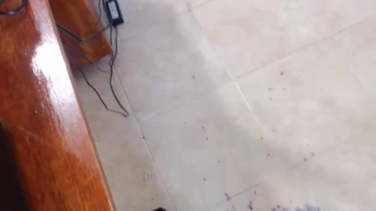 dalenelennys [2017/12/16 22:05:32]