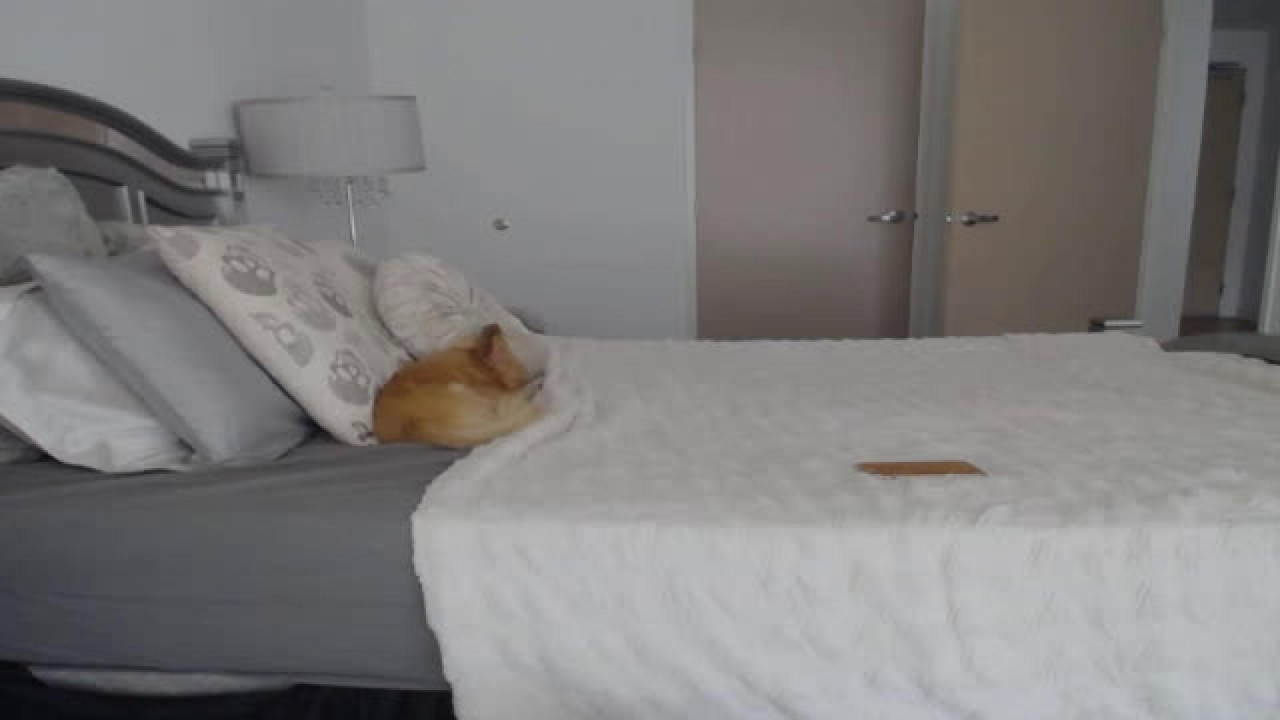 love_esme [2017/09/16 18:55:13]