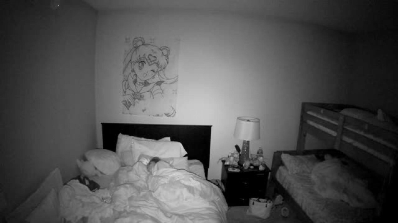 thehornyhostel recorded [2017/01/25 06:40:55]