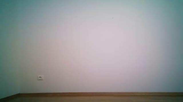 vytas2017 naked [2017/02/20 08:42:53]