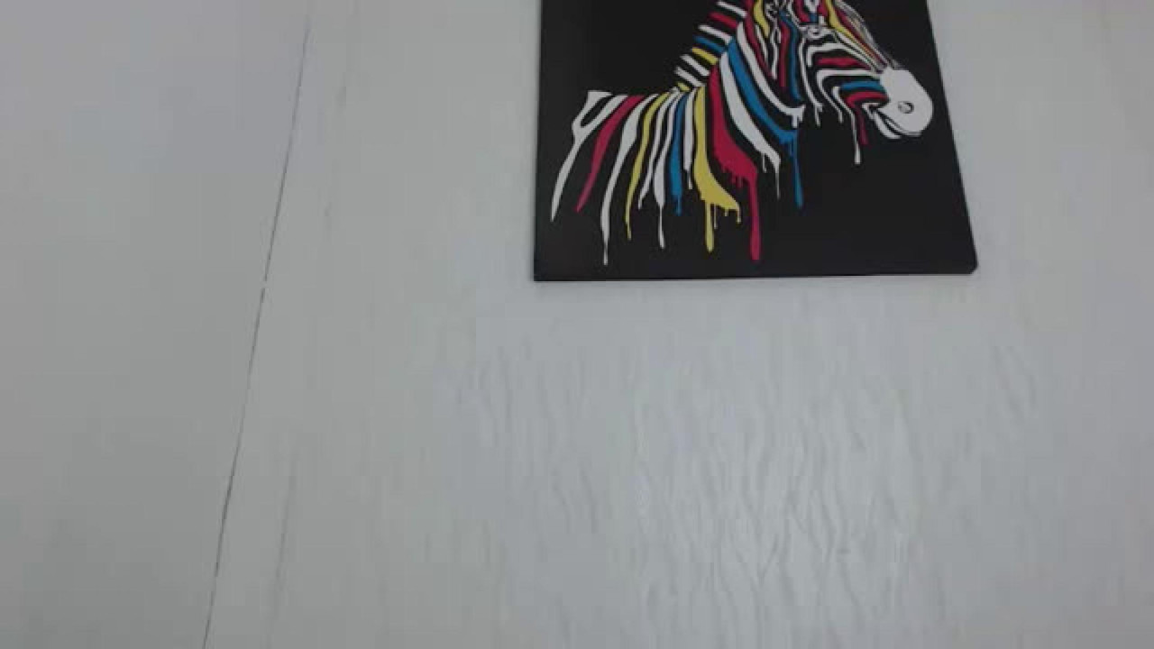 haleybrooks Pornhub Webcam [2017/01/29 - 13:30:28]
