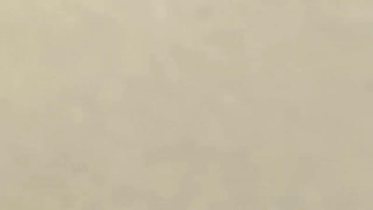 visualviagrax video [2017/02/06 10:00:27]