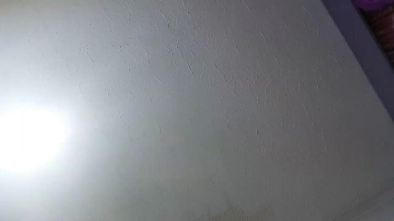 amazingcatx xxx [2017/02/26 23:21:38]