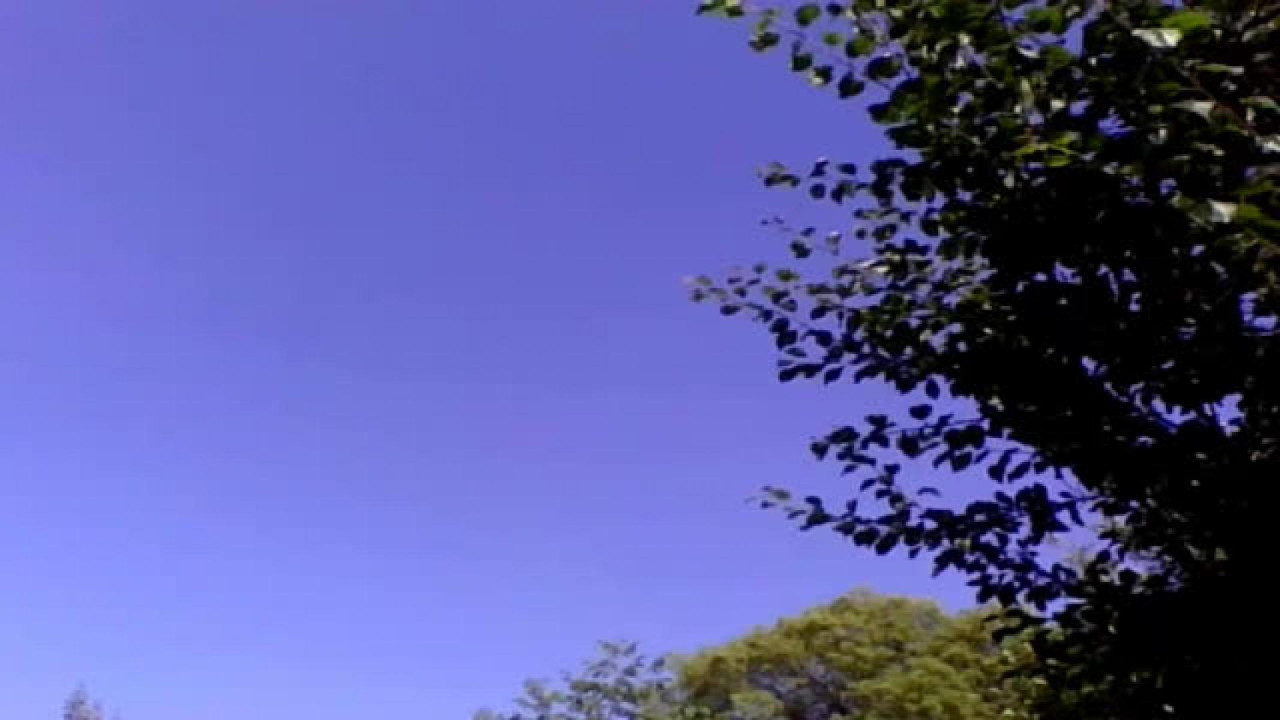 laste sex [2017/05/26 15:15:43]