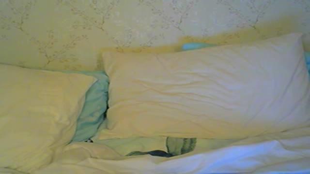 cutefriend__ video [2016/12/16 04:14:10]