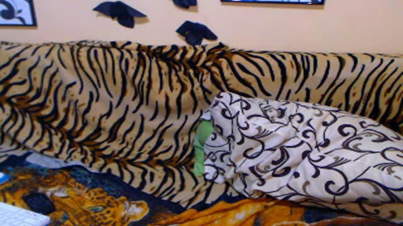 ellaaataylor Strap Video [2017/07/26 - 20:07:26]
