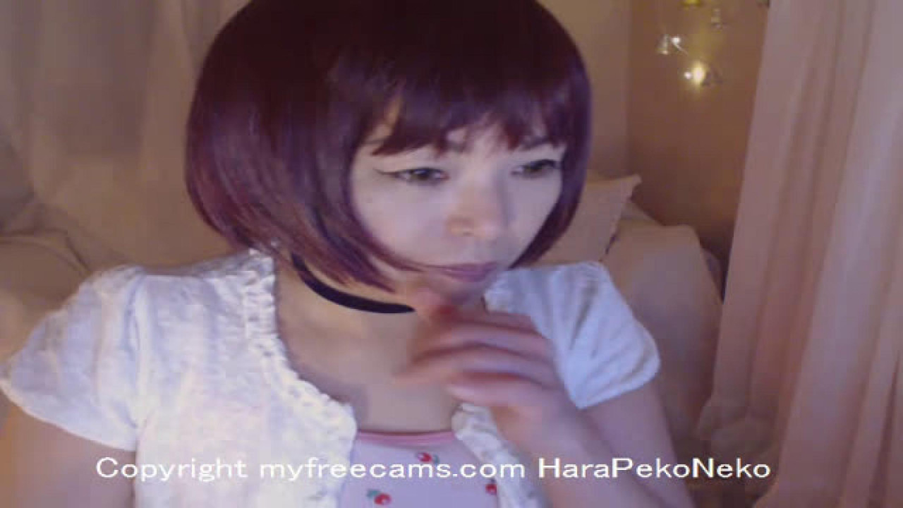 harapekoneko adult [2016/12/18 08:11:25]