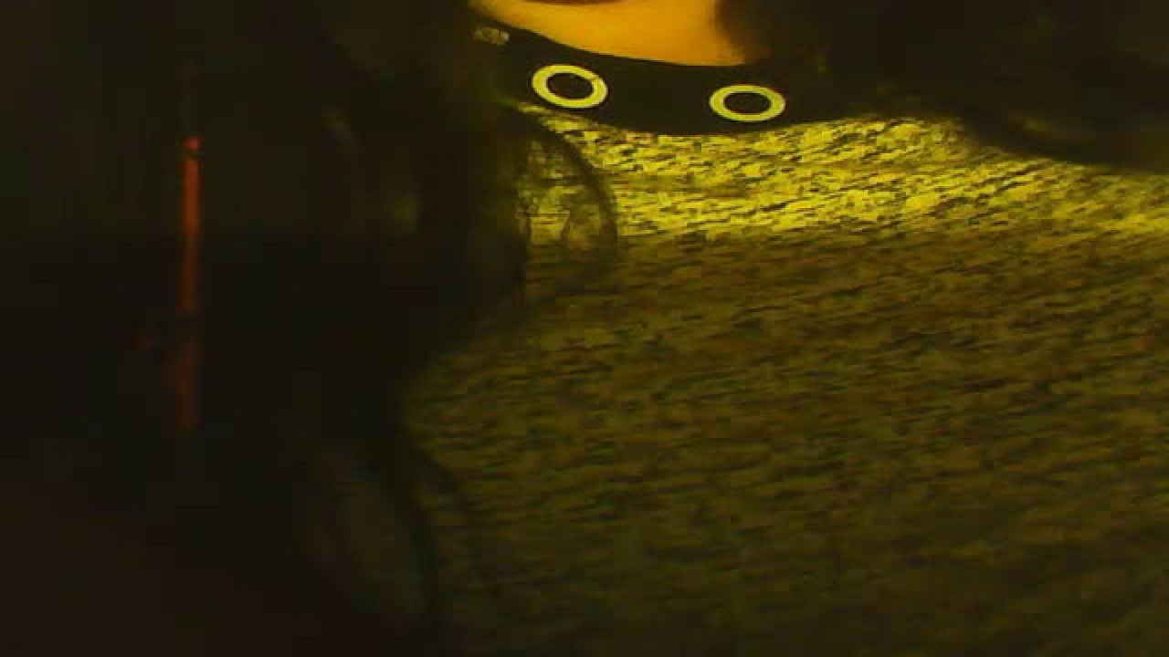 niematunic27 naked [2017/03/13 19:51:28]