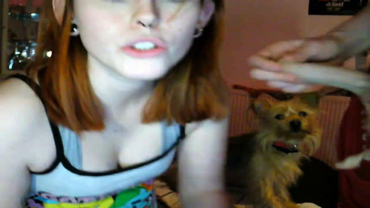 kittengrl download [2017/02/26 00:54:40]