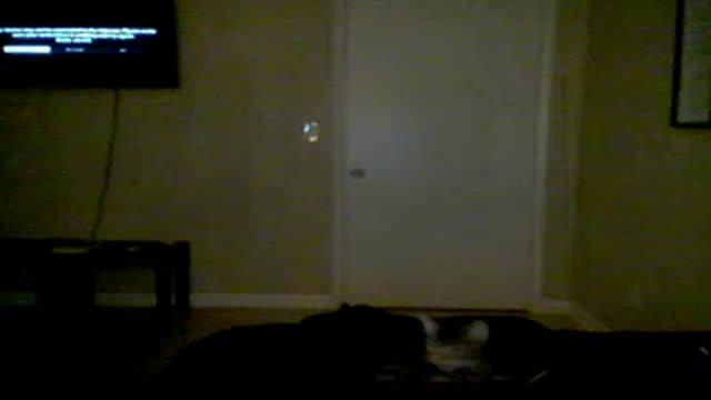 sarah27x adult [2016/12/30 07:40:54]