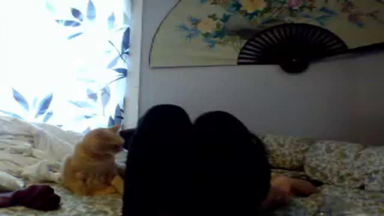 coconutcreampies Flashing Webcam [2017/05/01 - 17:40:43]