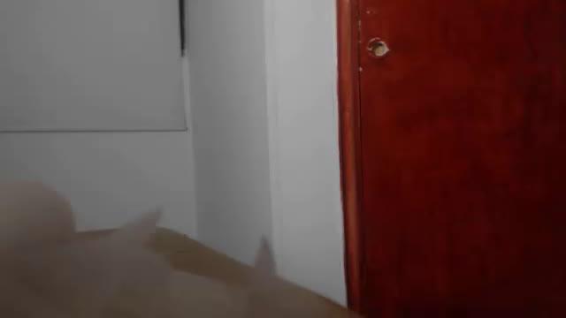 forever2 webcam [2016/12/07 10:45:52]