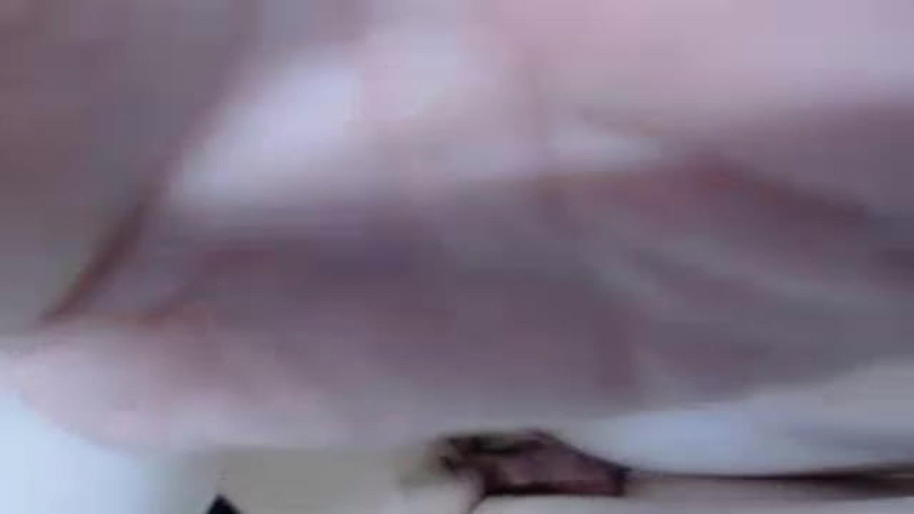courcouple show [2017/04/15 14:55:15]