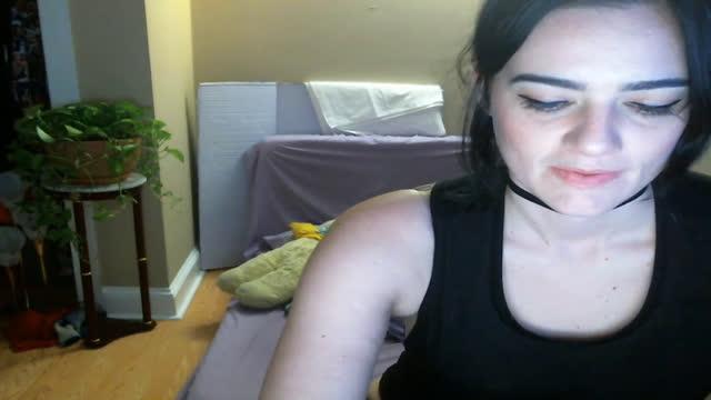king_whooty webcam [2016/11/22 00:01:25]