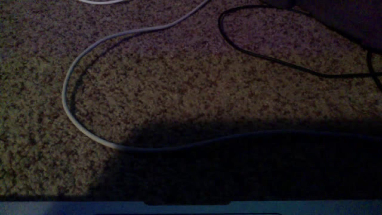 oinkappntmnt Dancing [2017/04/30 - 13:25:28]