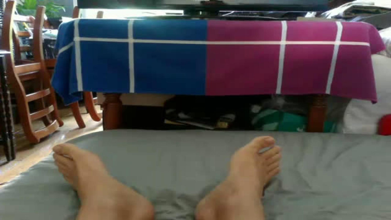 pariscalie adult [2017/05/31 09:01:28]