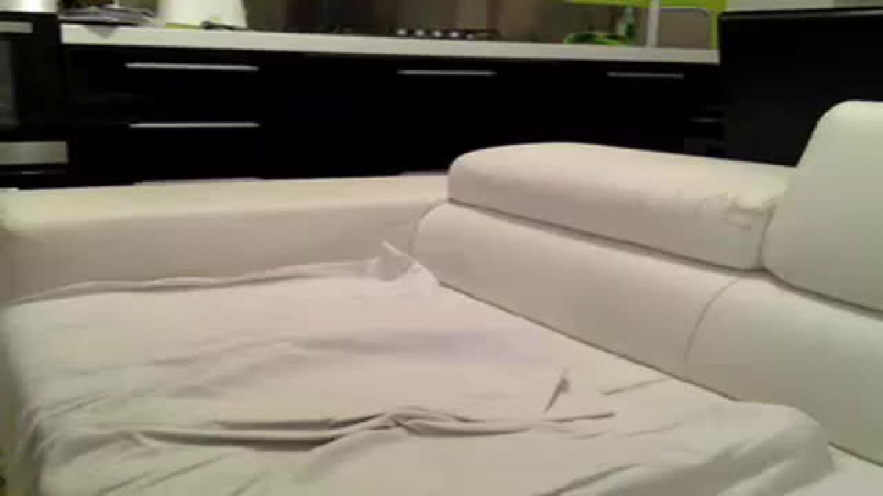 agatos Riding Show [2017/06/25 - 23:34:27]