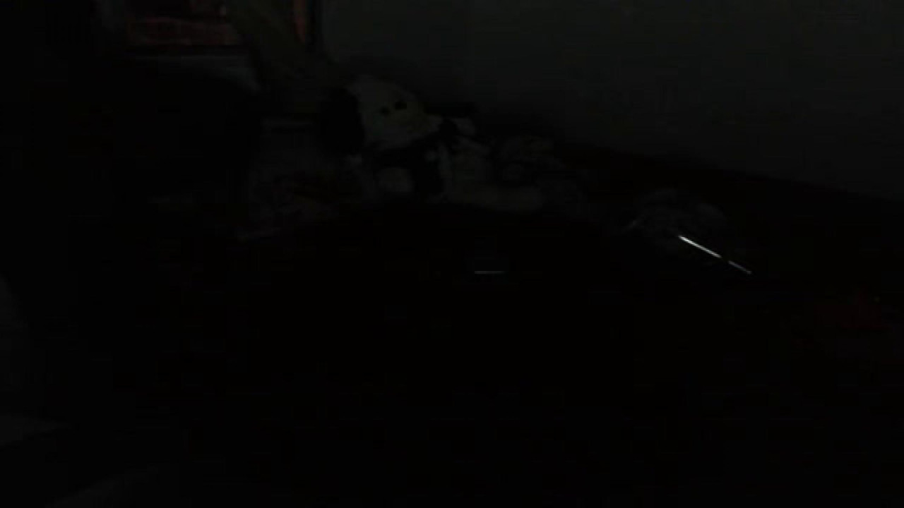 dacotalatina webcam [2017/05/18 23:46:45]