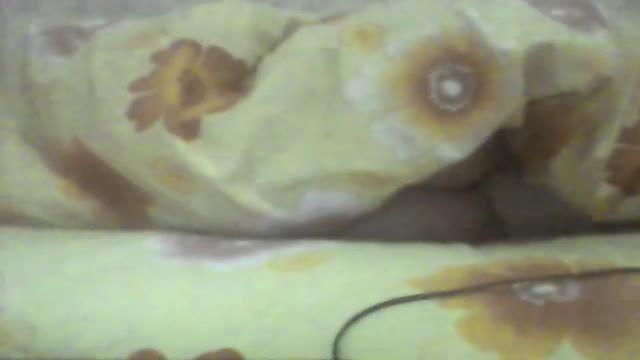 skvirtik90 naked [2016/12/26 01:41:27]