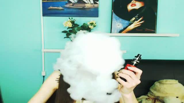 rosedustin show [2017/01/16 11:00:29]