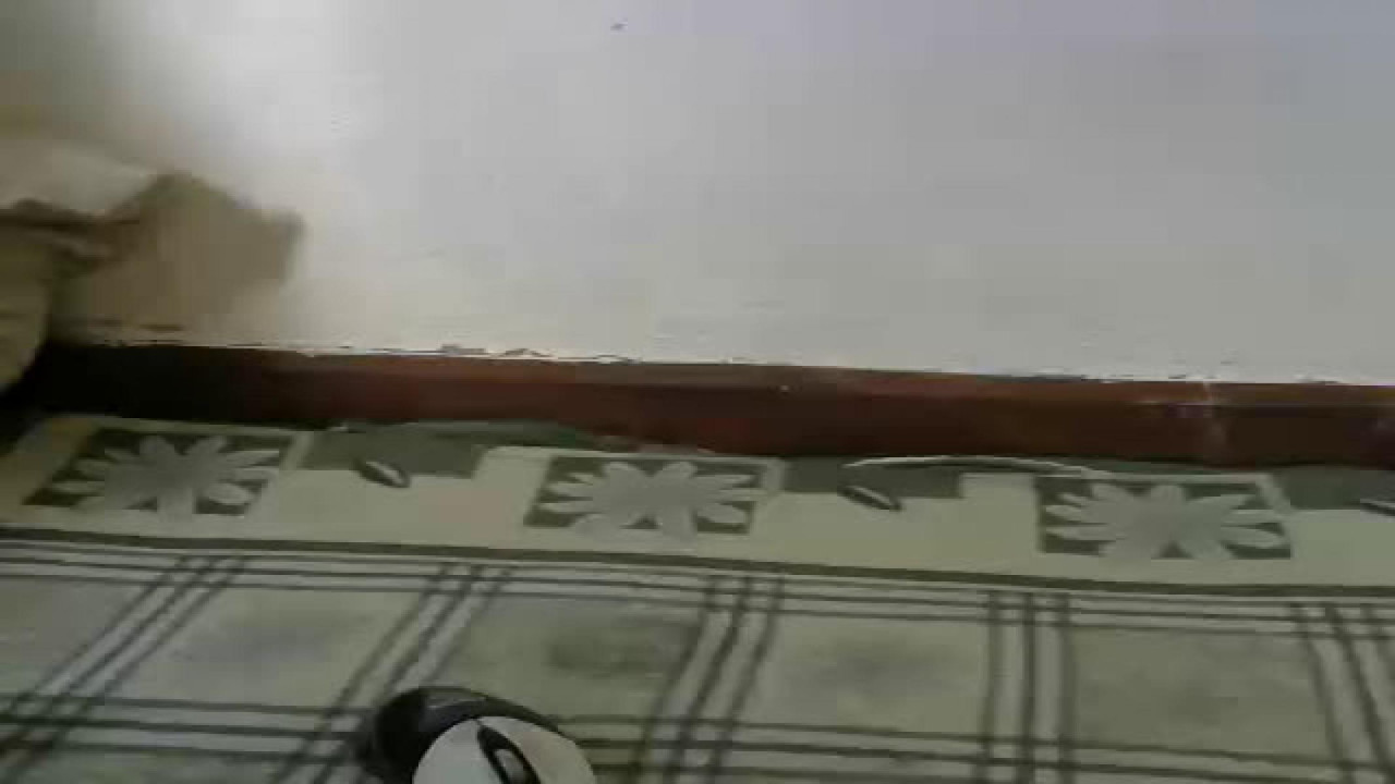 michoue xxx [2017/04/19 12:51:33]