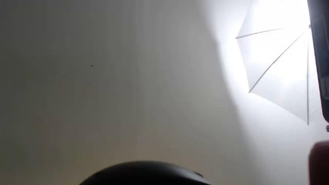 haleybrooks sex [2017/03/03 18:21:08]