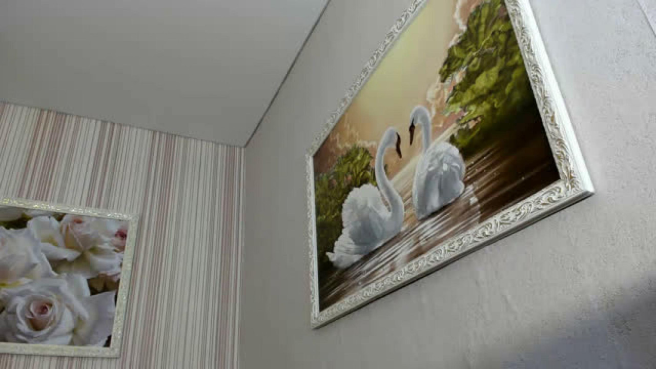 stella_and_stephan sex [2017/05/02 06:15:43]