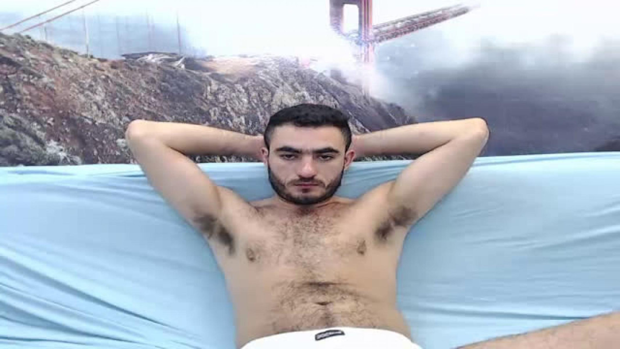wildstalion porno [2017/03/06 22:10:52]