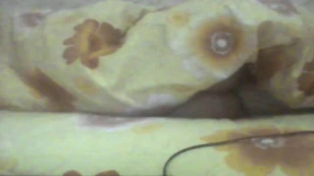 skvirtik90 cam [2016/12/26 02:02:22]