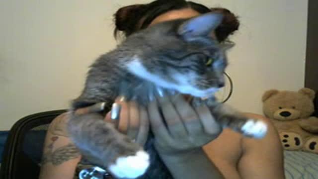 slimthickmami show [2016/12/25 05:31:08]