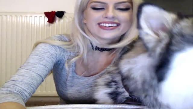 kissofacobra video [2016/12/16 16:40:43]