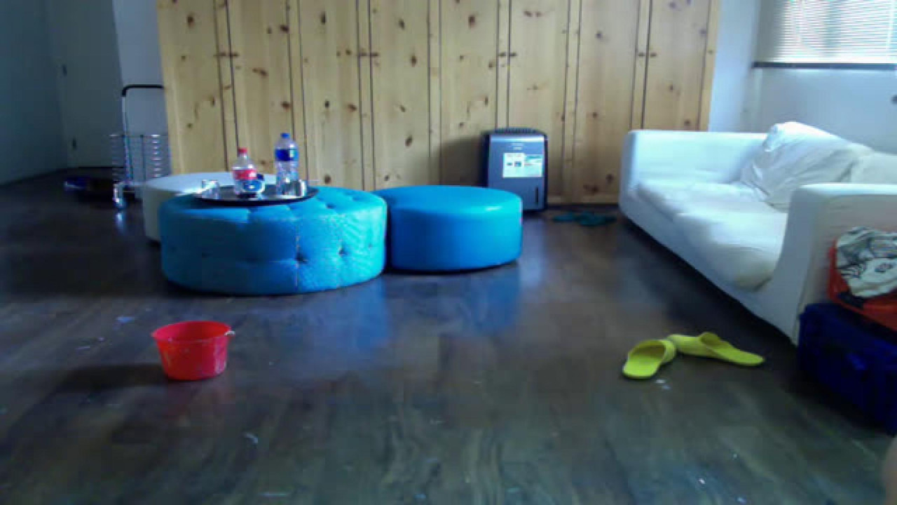 dennispigg16 [2017/06/21 02:55:28]