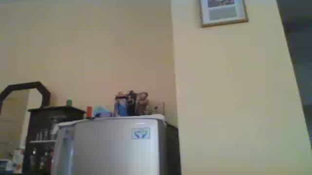 squirtlhanaya adult [2016/11/18 06:10:57]
