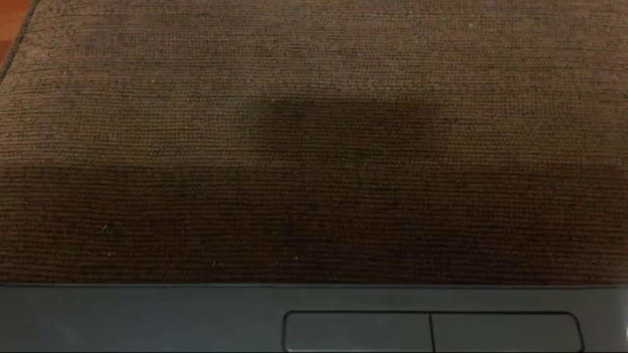 laydeekaye12 sex [2017/06/01 05:30:42]