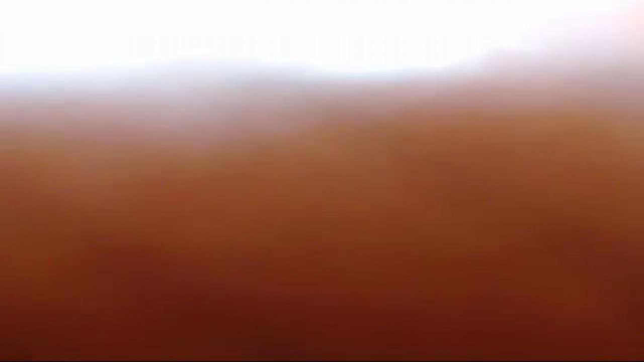 cataleya038