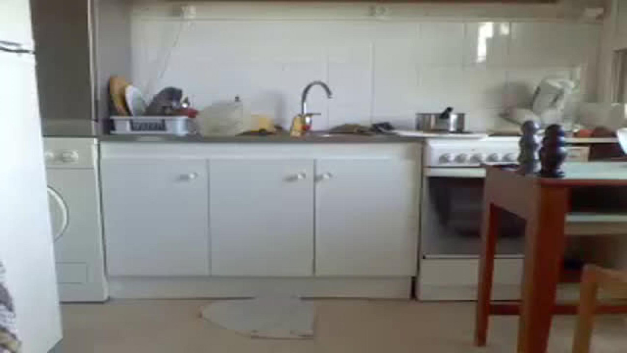 _bubble_buttfunxxx Doggy Webcam [2017/06/23 - 11:16:08]