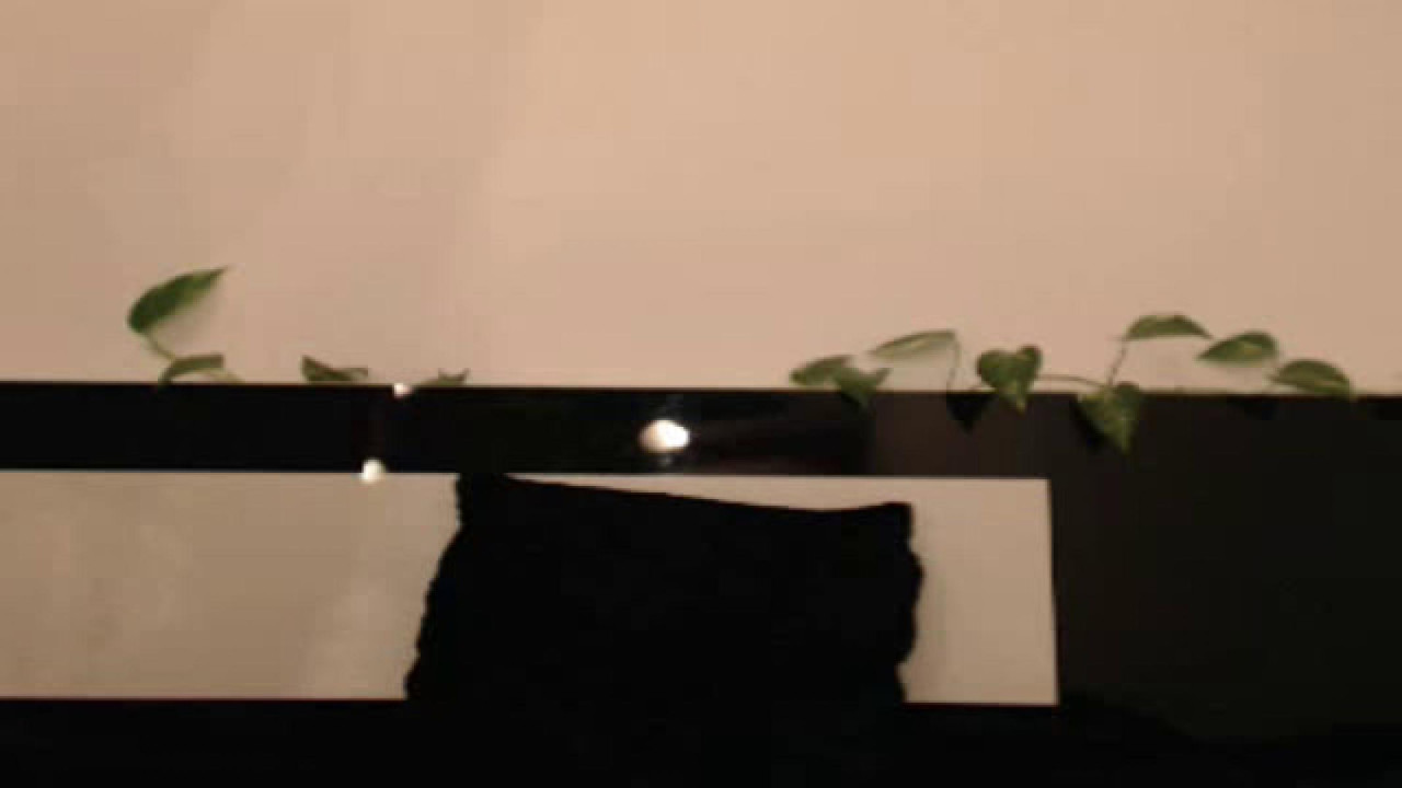 giulialove Cunt [2017/06/25 - 22:46:10]