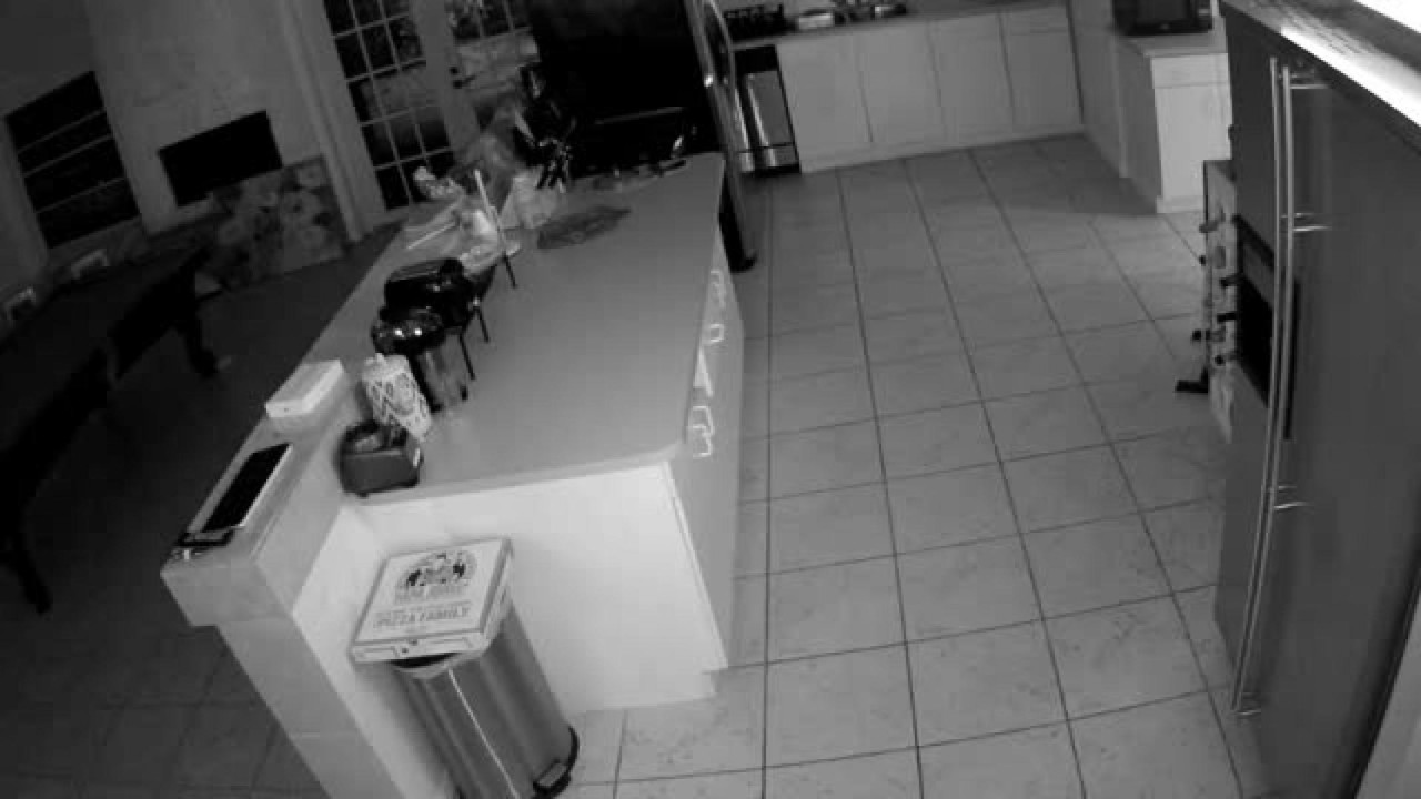 kitchen webcam [2017/03/02 04:00:53]