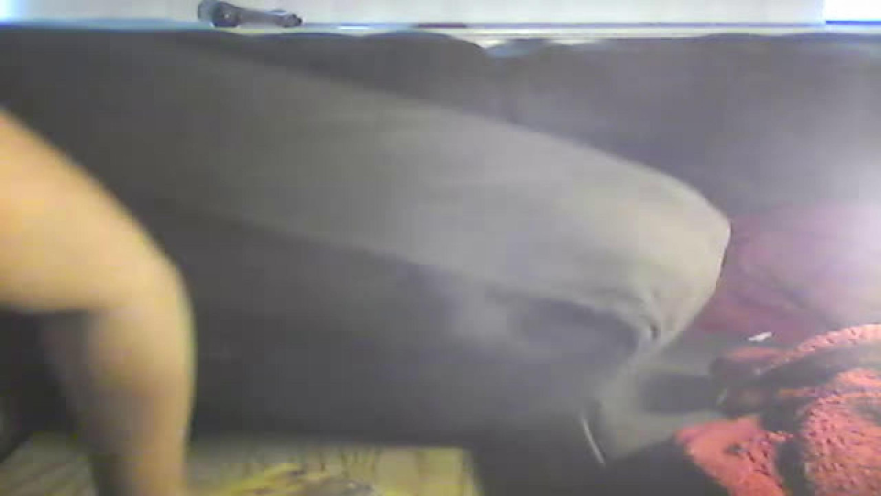 msleahbee93 Rapidgator Show [2017/06/11 - 21:50:18]