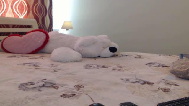 safiko download [2017/01/17 11:04:53]