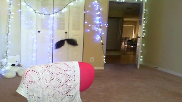 nataliefawn show [2017/01/12 14:56:51]