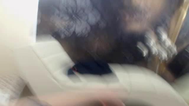 frenchie_mvc [2016/12/09 13:52:45]