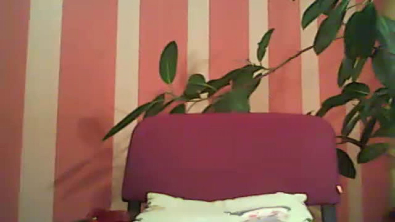 have_funnn recorded [2017/04/18 19:56:27]