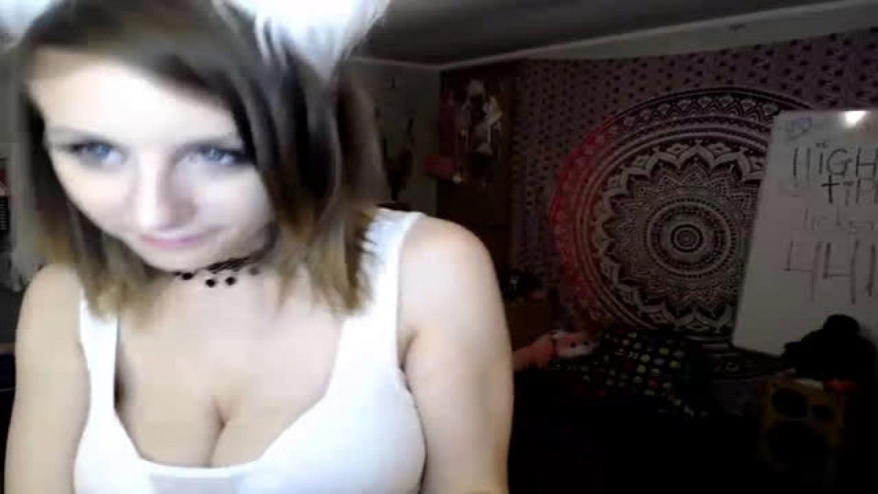 wifikitten adult [2017/04/18 02:45:53]
