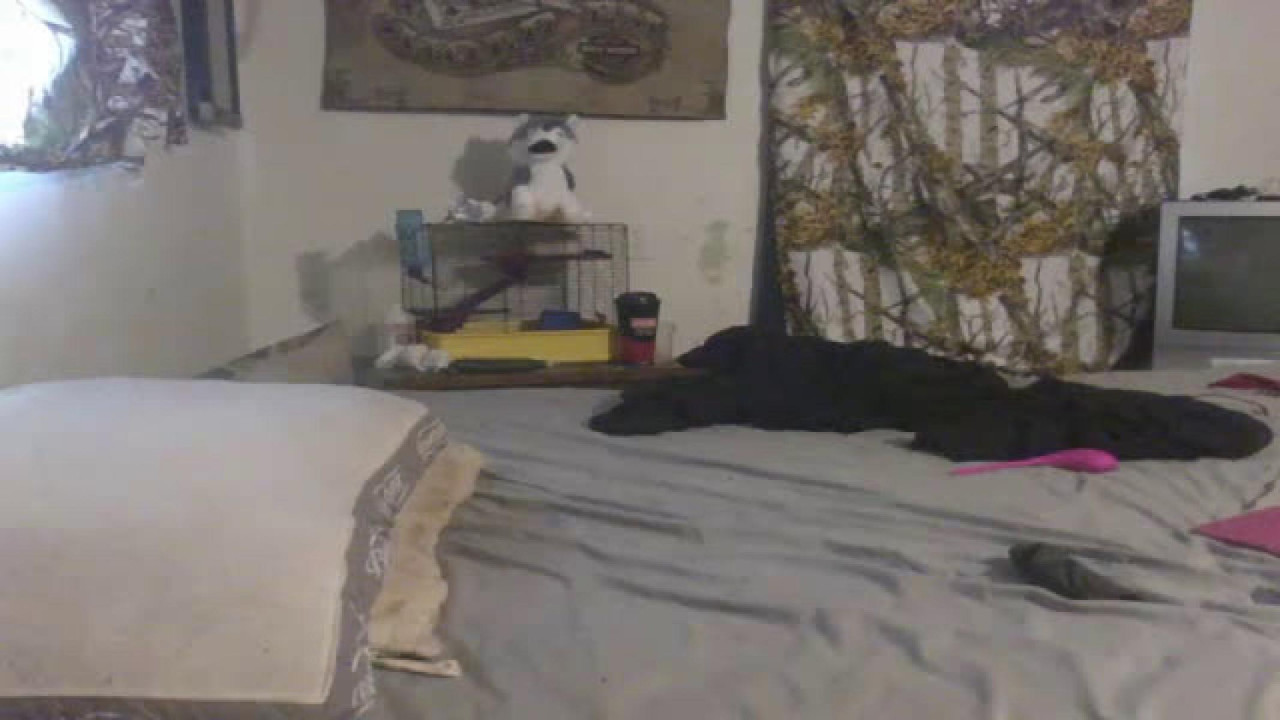 missdanidiamond adult [2017/05/28 18:45:44]